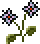 item_img